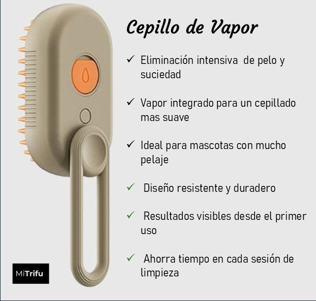 Cepillo de Vapor 3 en 1